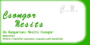 csongor mesits business card